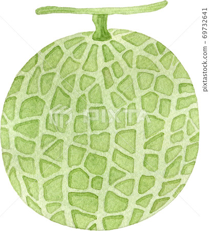 Cute melon (1 piece) watercolor illustration Cute melon (1 piece) watercolor illustration 69732641