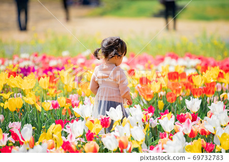 在鬱金香領域嬉戲的女孩 在鬱金香領域嬉戲的女孩 69732783