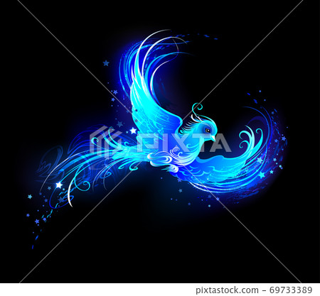 Blue flame bird Blue flame bird 69733389