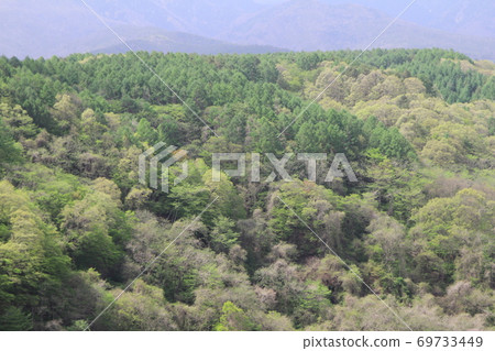 EOS7D八岳高原大橋第51部分 EOS7D八岳高原大橋第51部分 69733449