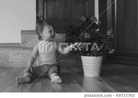 a small child is sitting on the floor next to a large flower in a pot. girl rips off a plant a small child is sitting on the floor next to a large flower in a pot. girl rips off a plant 69733763