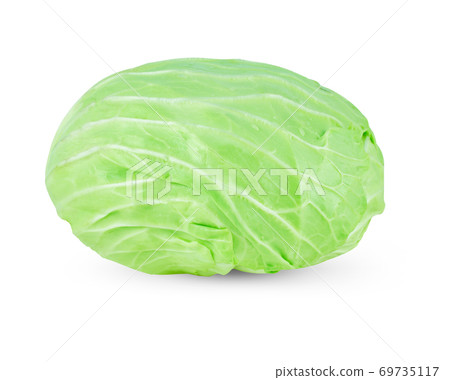 whole green cabbage isolated on white whole green cabbage isolated on white 69735117