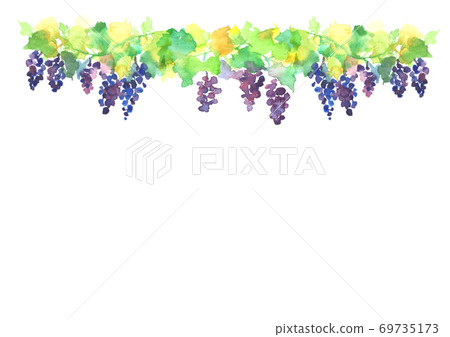 水彩畫中的葡萄園的插圖 69735173