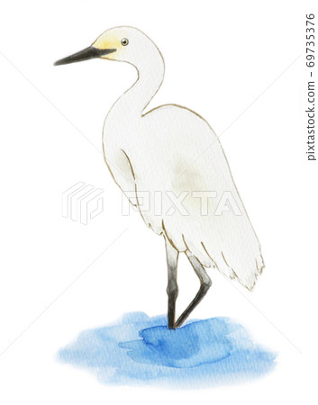 一隻野兔 69735376