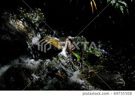 Nature of XT2 Sankeien Part 17 69735508