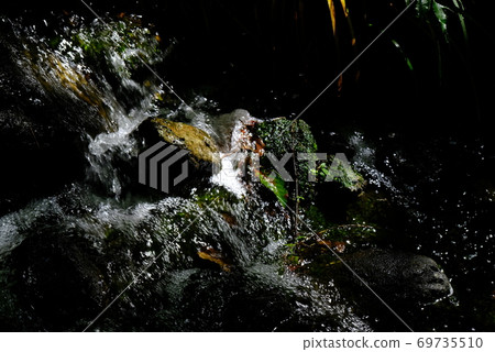 Nature of XT2 Sankeien Part 19 Nature of XT2 Sankeien Part 19 69735510