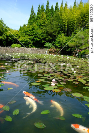 Nature of XT2 Sankeien Part 29 69735520