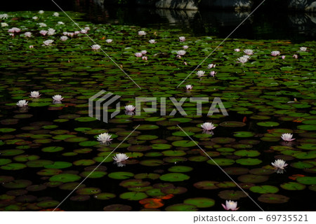 XT2 Sankeien Nature Part 30 XT2 Sankeien Nature Part 30 69735521