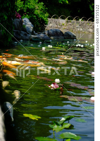 XT2 Sankeien Nature Part 31 XT2 Sankeien Nature Part 31 69735522