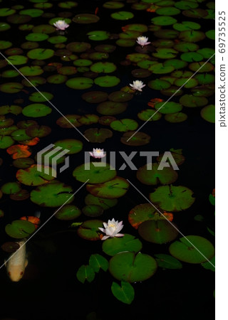 XT2 Sankeien Nature Part 34 69735525