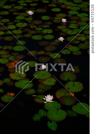 XT2 Sankeien Nature Part 35 69735526