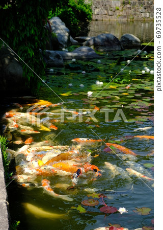 XT2 Sankeien Nature Part 37 69735528