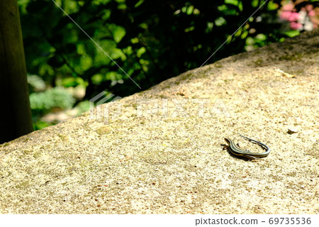 XT2 Sankeien Nature Part 45 XT2 Sankeien Nature Part 45 69735536