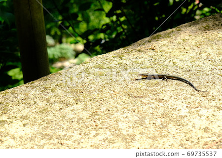 XT2 Sankeien Nature Part 46 XT2 Sankeien Nature Part 46 69735537