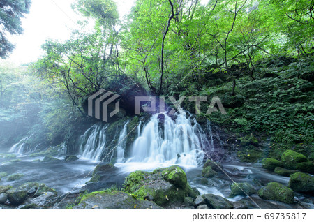 Motoyaki Feng Shui Akita ken 69735817