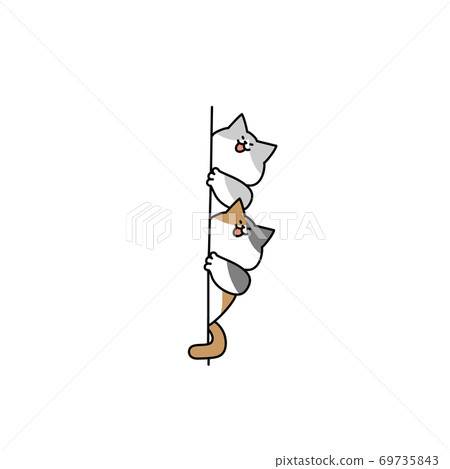 兩隻貓通過牆偷看 69735843