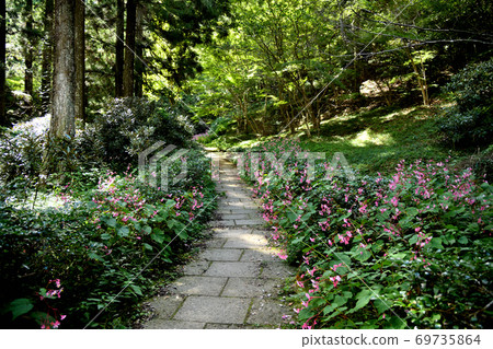 秋天的海盆盛開的岩湯寺的入口 秋天的海盆盛開的岩湯寺的入口 69735864
