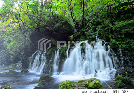 令人興奮的早晨，秋田縣元崎福壽 69735874