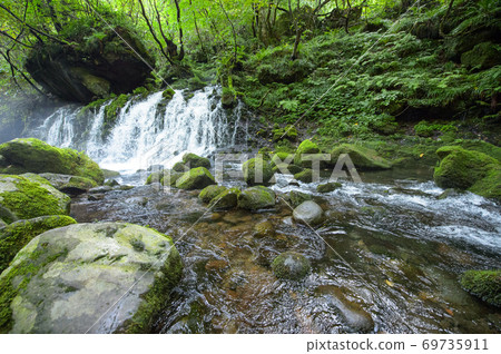 令人興奮的早晨，秋田縣元崎福壽 69735911