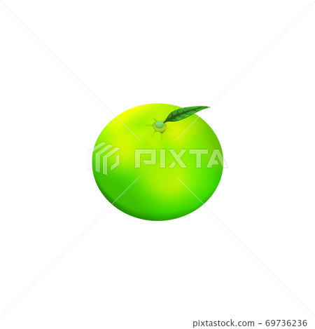 Green mandarin orange with leaves 69736236