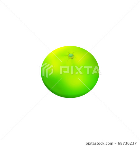 Green oranges 69736237