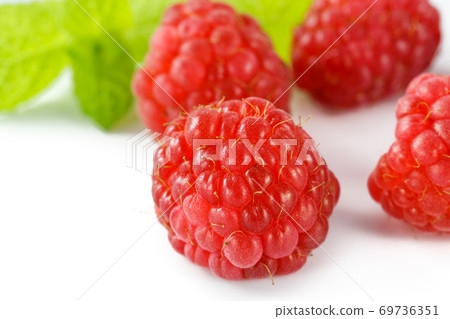 覆盆子 覆盆子 69736351