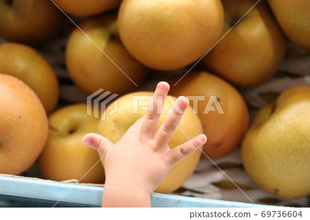 Pear and hands 69736604