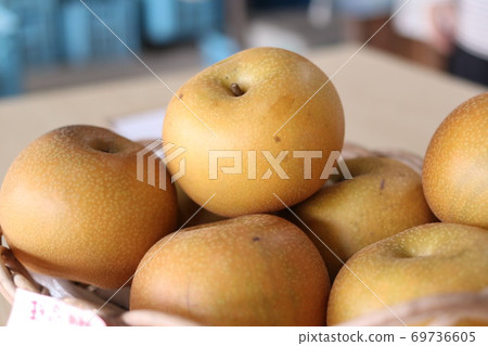 Pear Akizuki 69736605