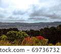 Wellington, New Zealand Cityscape of Wellington 69736732