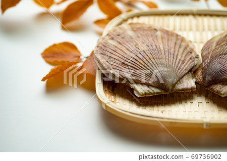 Delicious scallops in the fall 69736902