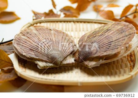 Delicious scallops in the fall Delicious scallops in the fall 69736912