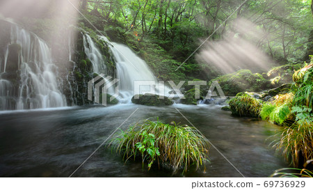Mototaki underground water in a refreshing morning, Akita Prefecture Mototaki underground water in a refreshing morning, Akita Prefecture 69736929