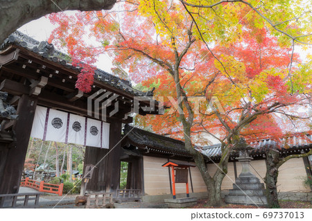 京都今宮神社的秋葉 京都今宮神社的秋葉 69737013