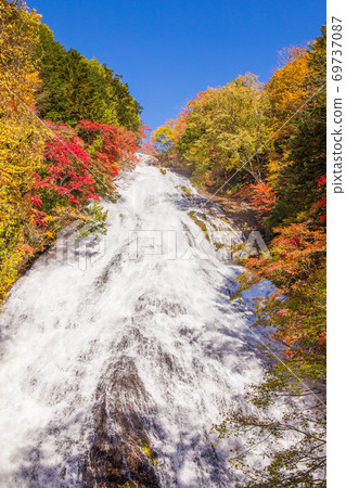 Okunikko Yutaki with autumn leaves Okunikko Yutaki with autumn leaves 69737087