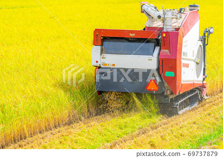 Harvesting rice with a combine harvester [Nagano Prefecture] 69737879
