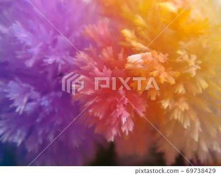 Purple pink yellow crystals 69738429