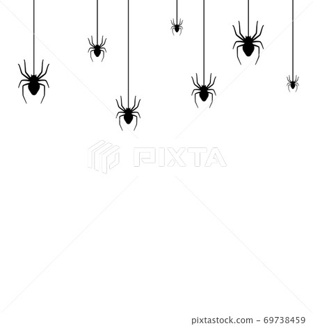 Spider web concept 69738459