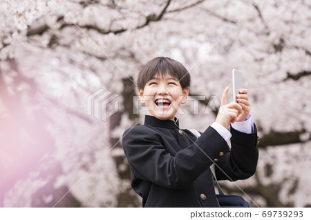 Junior high school spring Junior high school spring 69739293