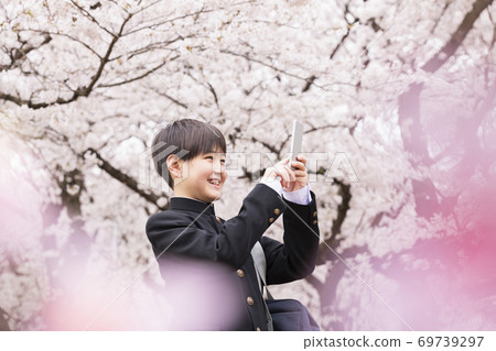 Junior high school spring Junior high school spring 69739297
