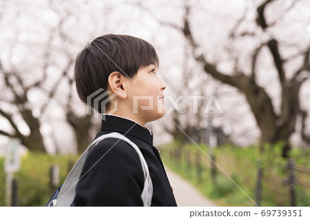 Junior high school spring Junior high school spring 69739351