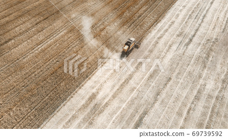 Workers on combine harvester collect ripe corn. 69739592