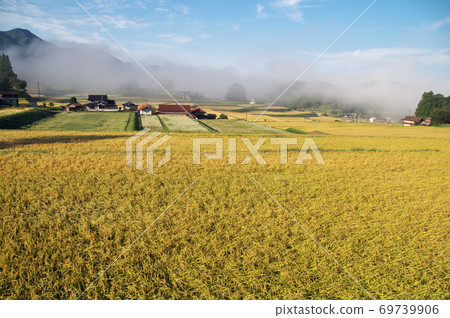 碩果累累的秋天，金色的稻穗，秋天的村莊，山下，鄉村 69739906