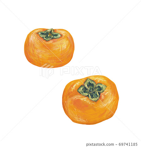 Oyster Oyster 69741185