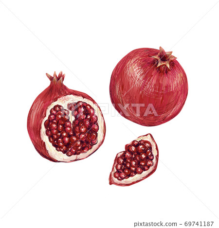 pomegranate  69741187