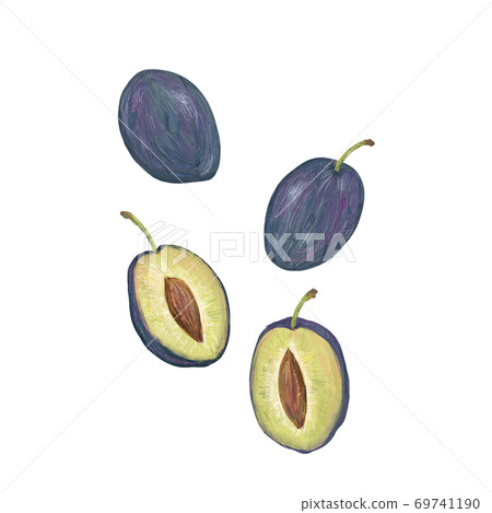 prune prune 69741190
