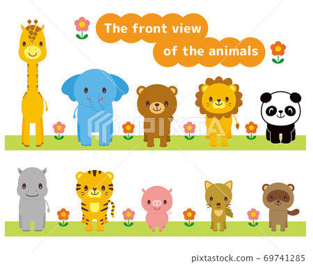 Animal front illustration 69741285