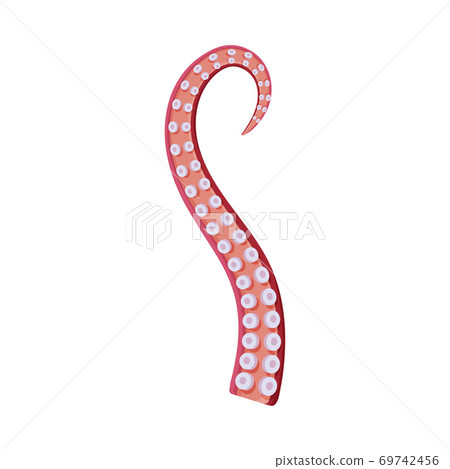 Underwater Marine Creature Body Part, Octopus or Squid Tentacle Vector Illustration 69742456