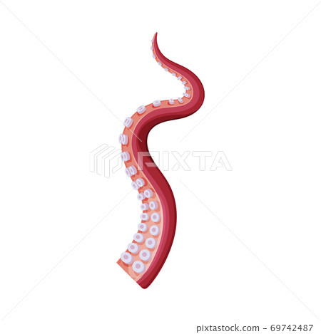 Octopus Tentacle, Underwater Marine Animal Body Part Vector Illustration Octopus Tentacle, Underwater Marine Animal Body Part Vector Illustration 69742487