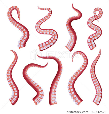 Octopus Tentacles Collection, Underwater Marine Creature Part of Body Vector Illustration 69742520