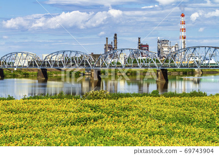 Watari Okuma Sunflower and Joban Line Train Watari Town, Miyagi Prefecture 69743904